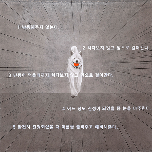 노한솔, 표준을 위한 체계적인 훈련방법들, 2022